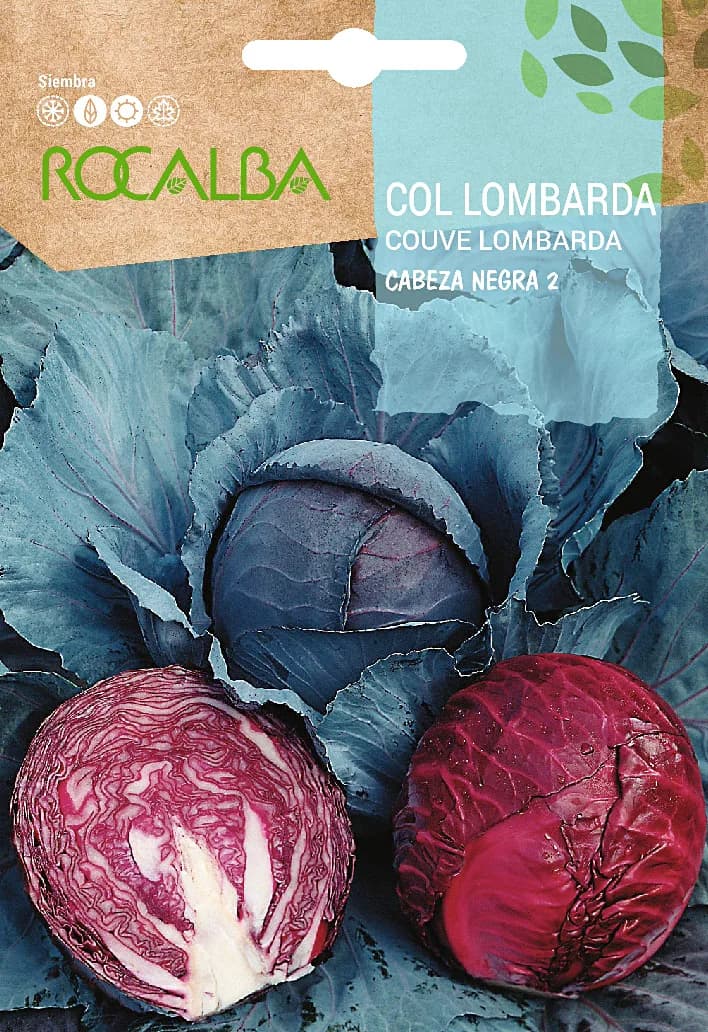 Semilla Col Cabeza Negra 2 — foto principal