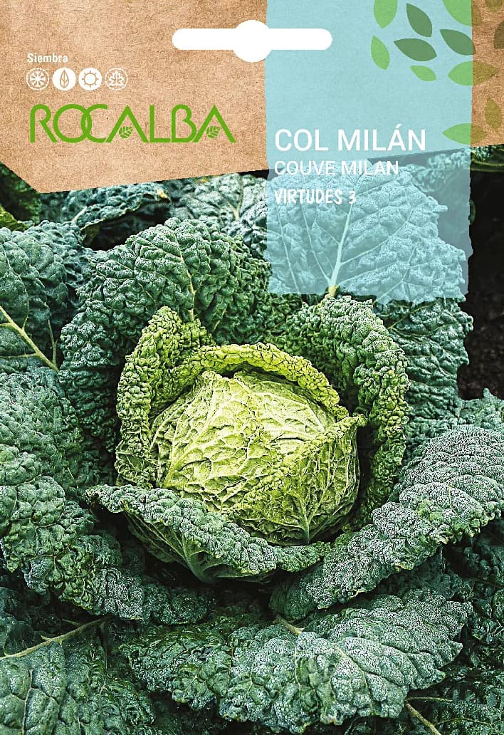 Semilla Col Milan Virtudes 3 — foto principal