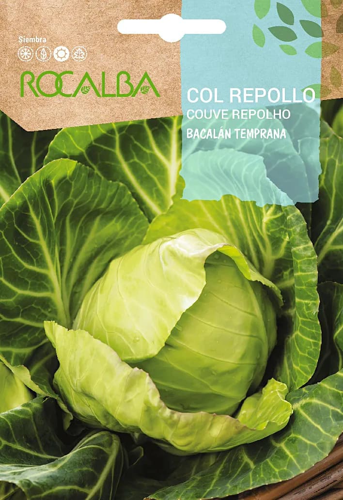 Semilla Col Repollo Bacalan Temprana — foto principal