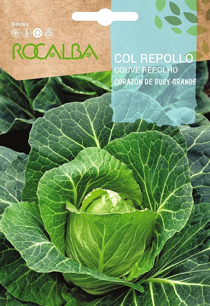 Semilla Col Repollo Corazon de Buey Grande — foto principal