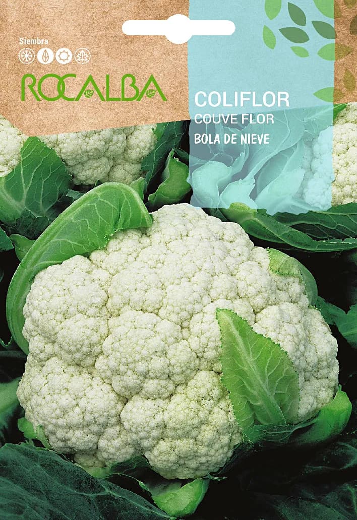 Semilla Coliflor Bola de Nieve — foto principal