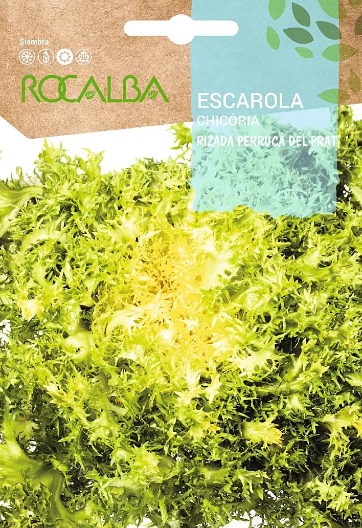 Semilla Escarola Rizada Perruca del Prat — foto principal