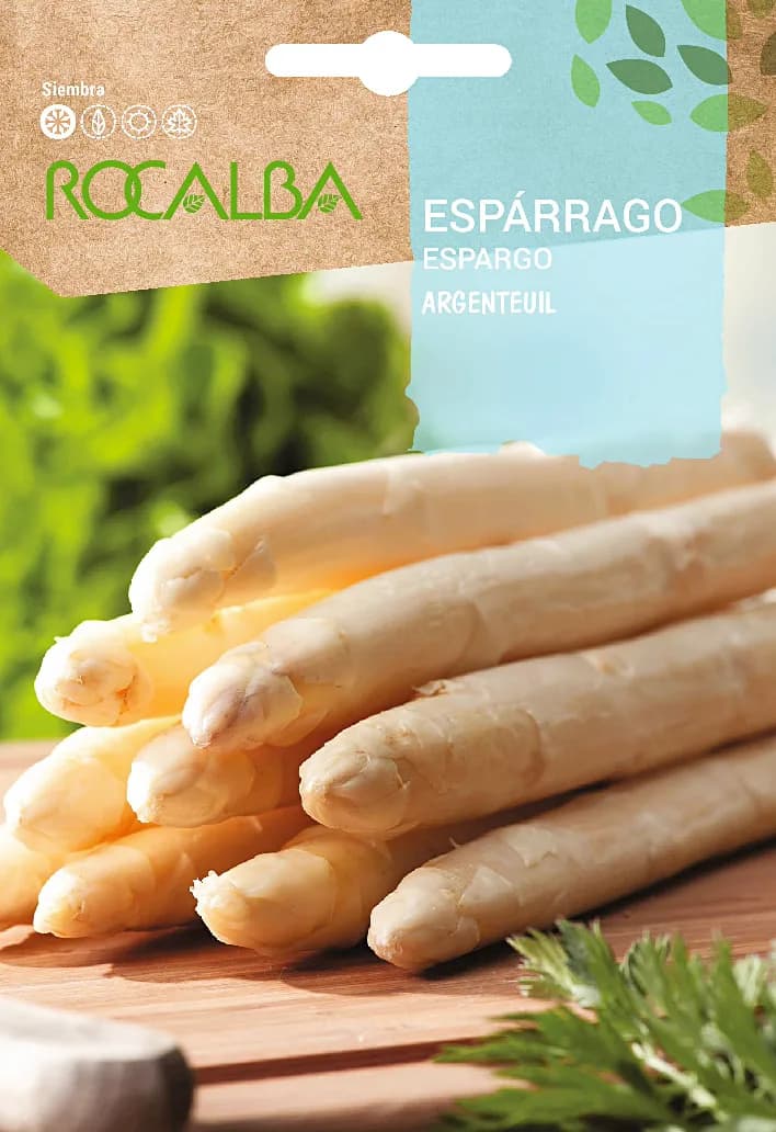 Semilla Esparrago Argenteuil (blanco Grueso) — foto principal