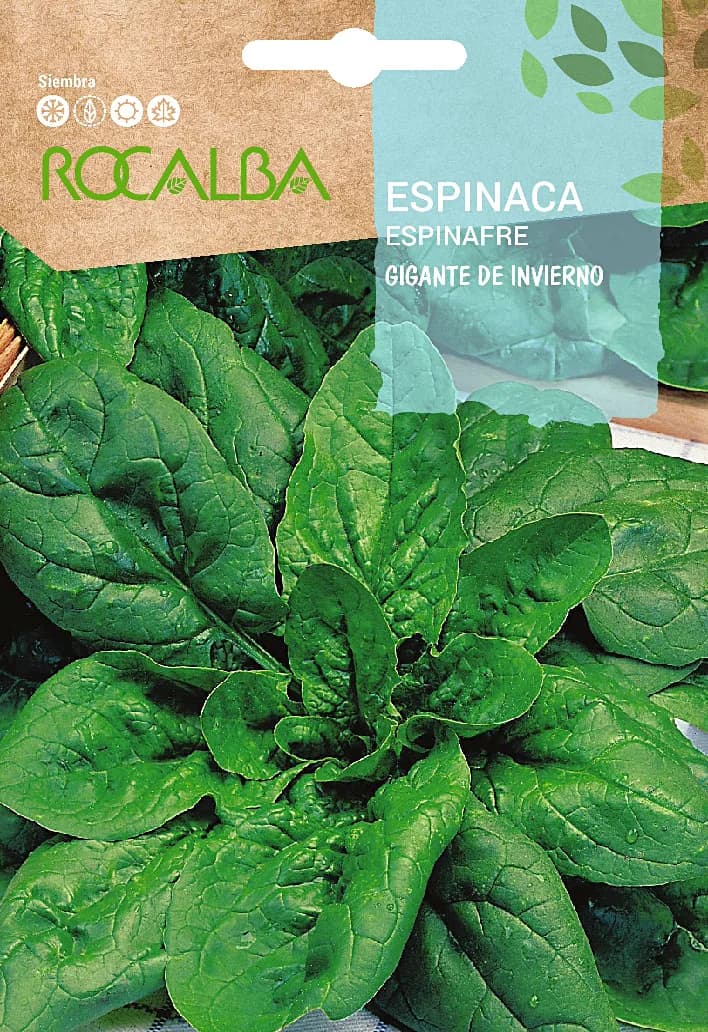 Semilla Espinaca Gigante de Invierno — foto principal