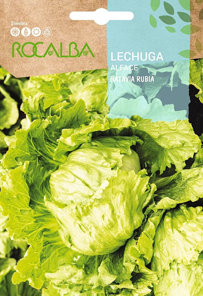 Semilla Lechuga Batavia Rubia — foto principal