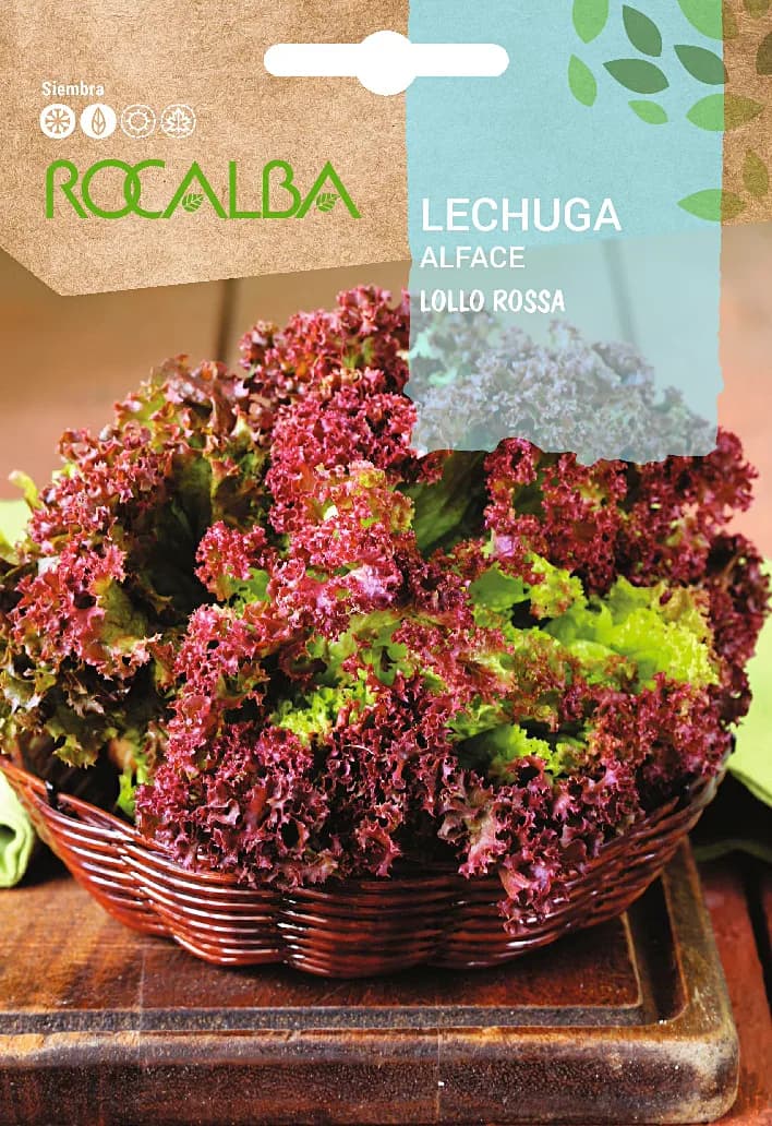 Semilla Lechuga Crispa Lollo Rossa — foto principal
