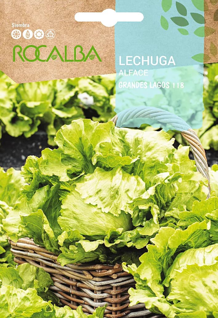 Semilla Lechuga Grandes Lagos 118 — foto principal