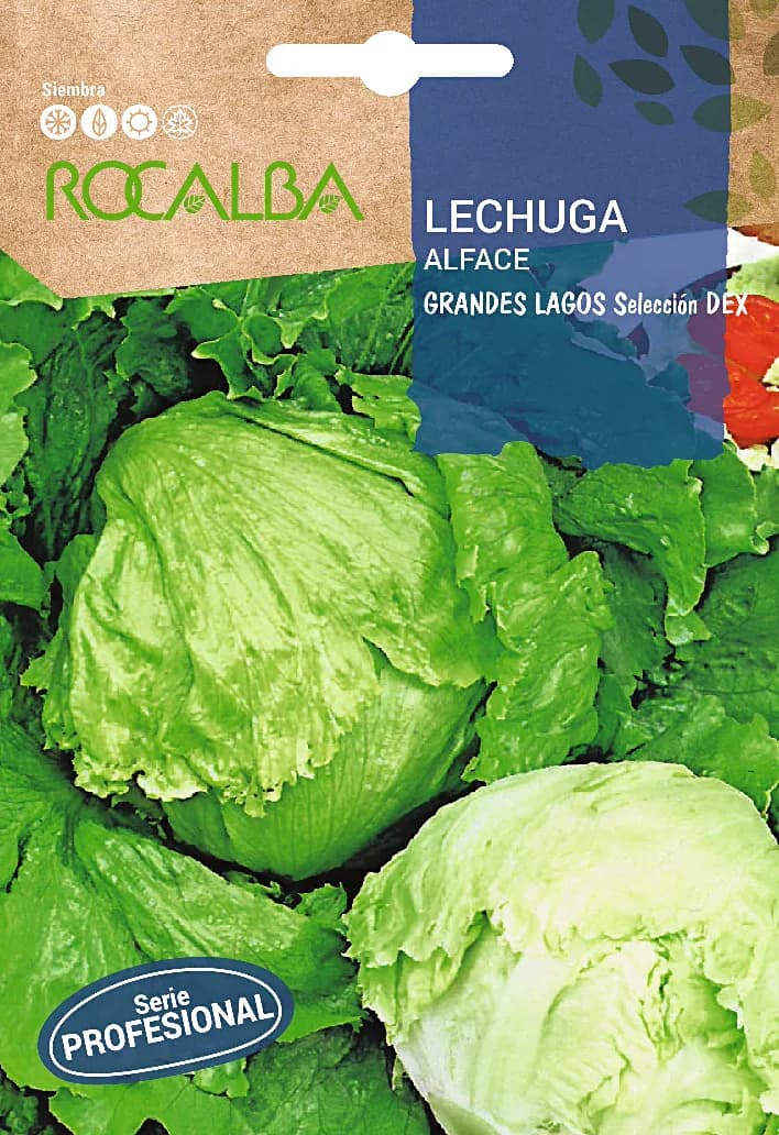 Semilla Profesional Lechuga Grandes Lagos Seleccion Dex — foto principal