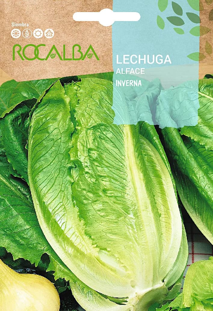 Semilla Lechuga Romana Inverna — foto principal