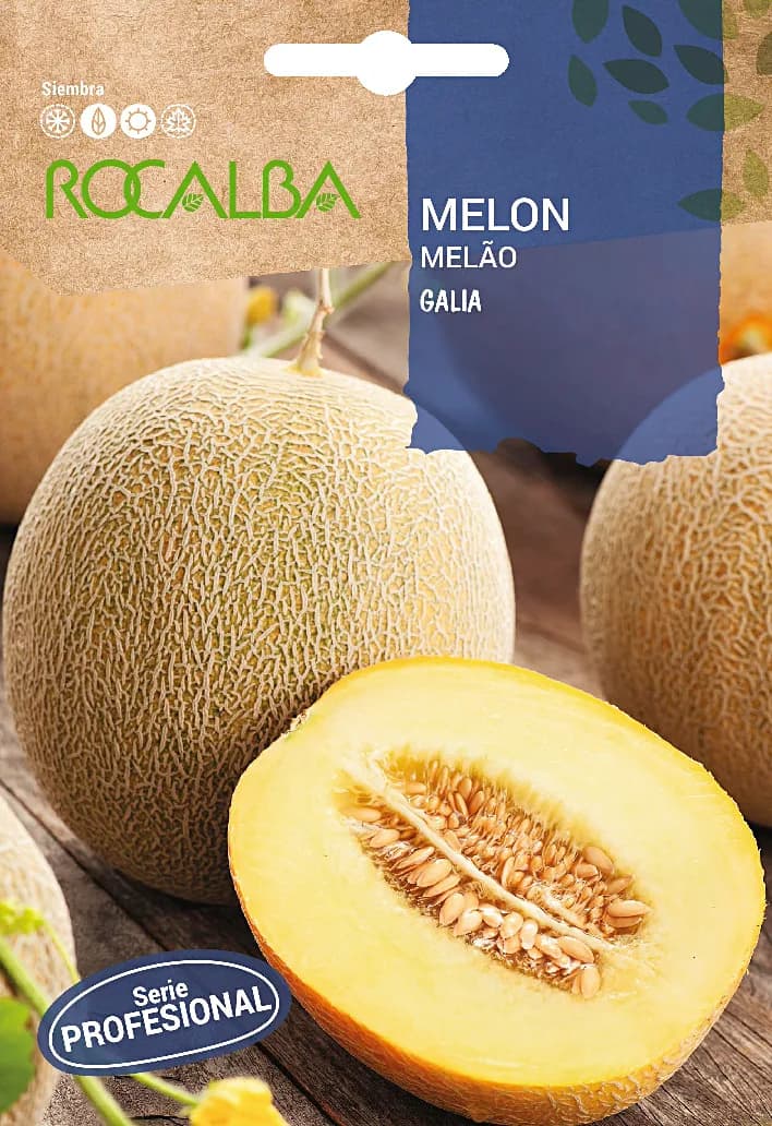 Semilla Profesional Melon Hibrido F1 Galia — foto principal