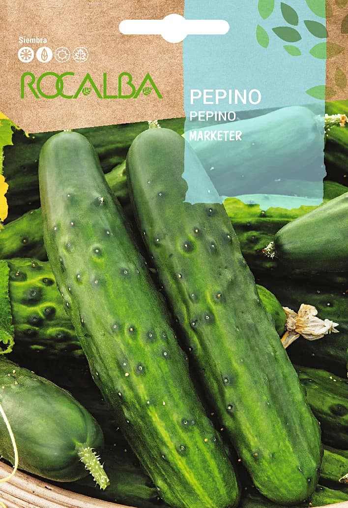 Semilla Pepino Marketer 6 gr — foto principal