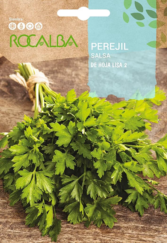 Semilla Perejil de Hoja Lisa 2 — foto principal