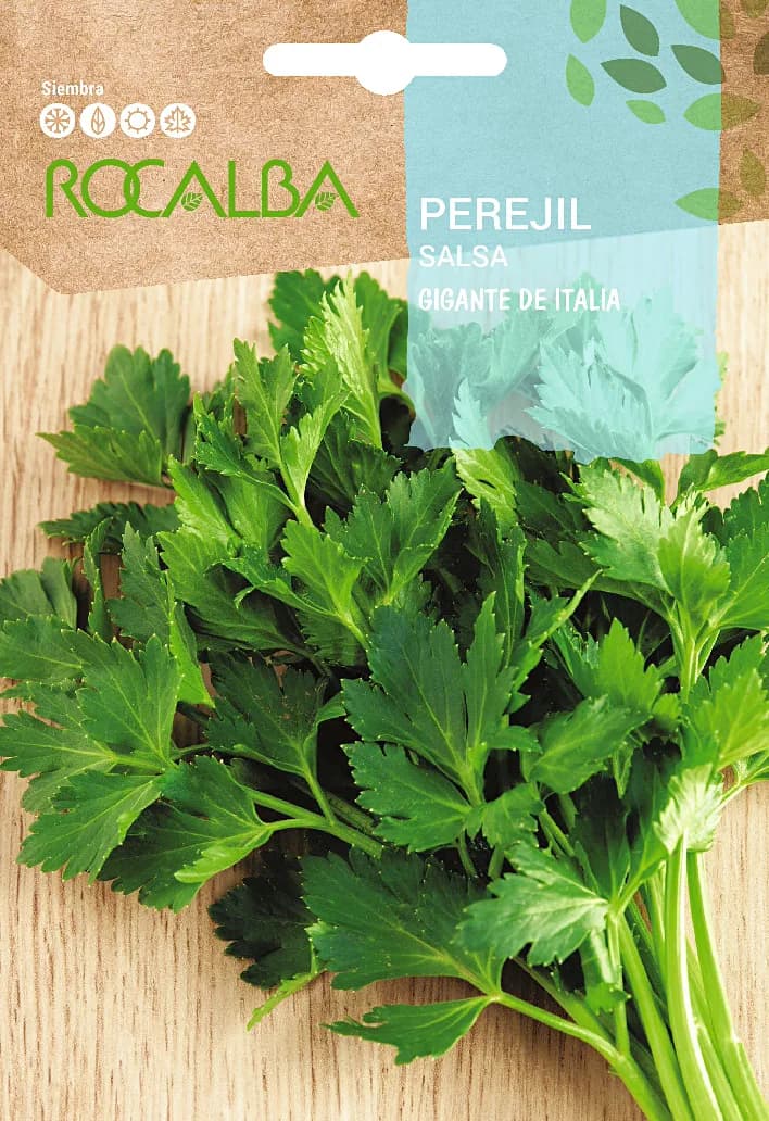 Semilla Perejil Gigante de Italia — foto principal