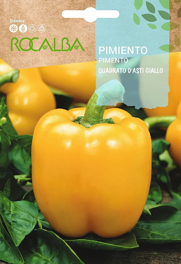 Semilla Pimiento Cuadrato Dasti Giallo — foto principal