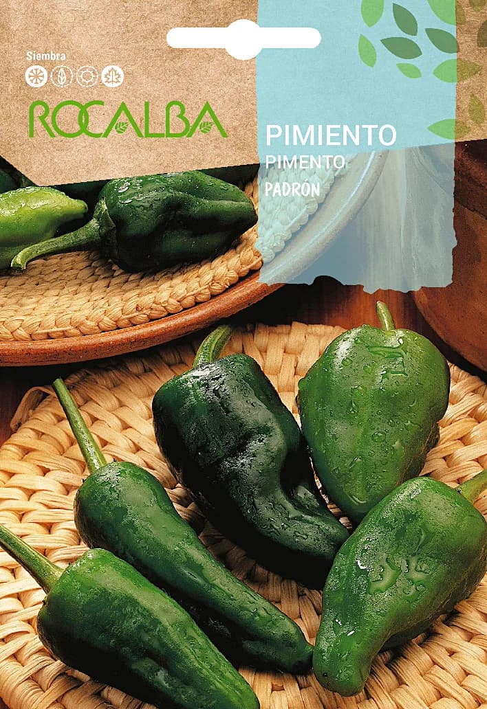 Semilla Pimiento Padron — foto principal