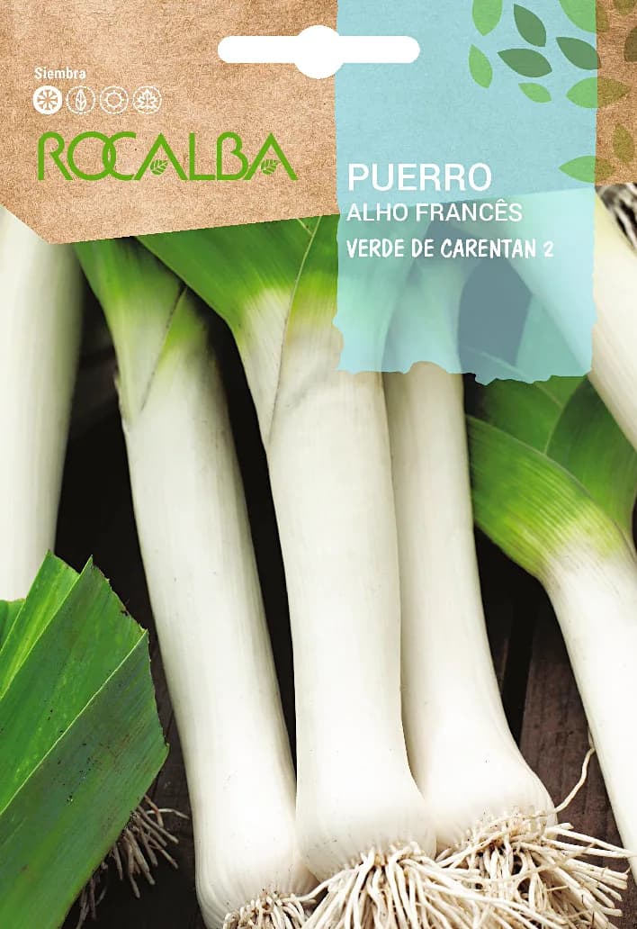 Semilla Puerro Verde de Carentan 2 — foto principal