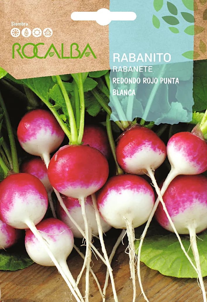 Semilla Rabanito Redondo Rojo Punta blanca — foto principal