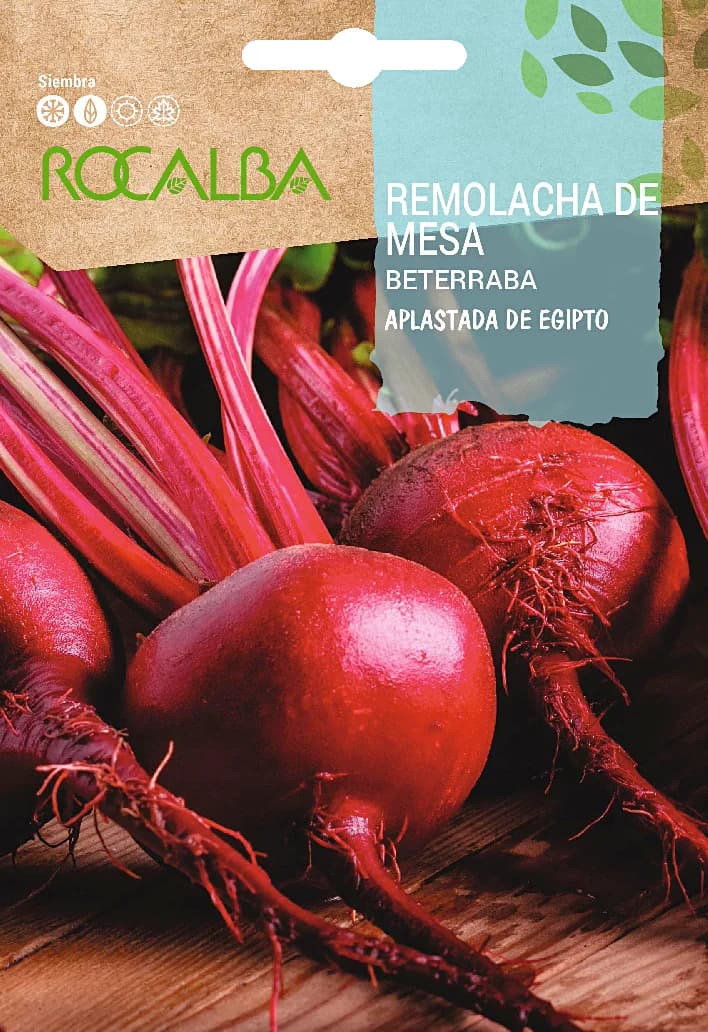 Semilla Remolacha de Mesa Aplastada de Egipto — foto principal