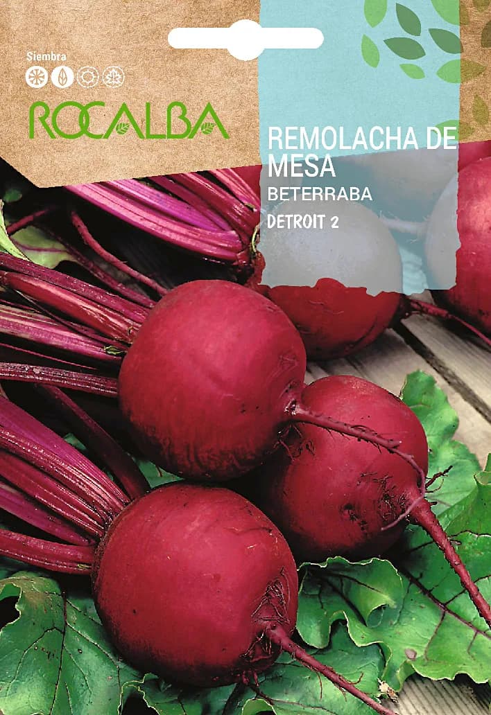 Semilla Remolacha de Mesa Detroit 2 — foto principal