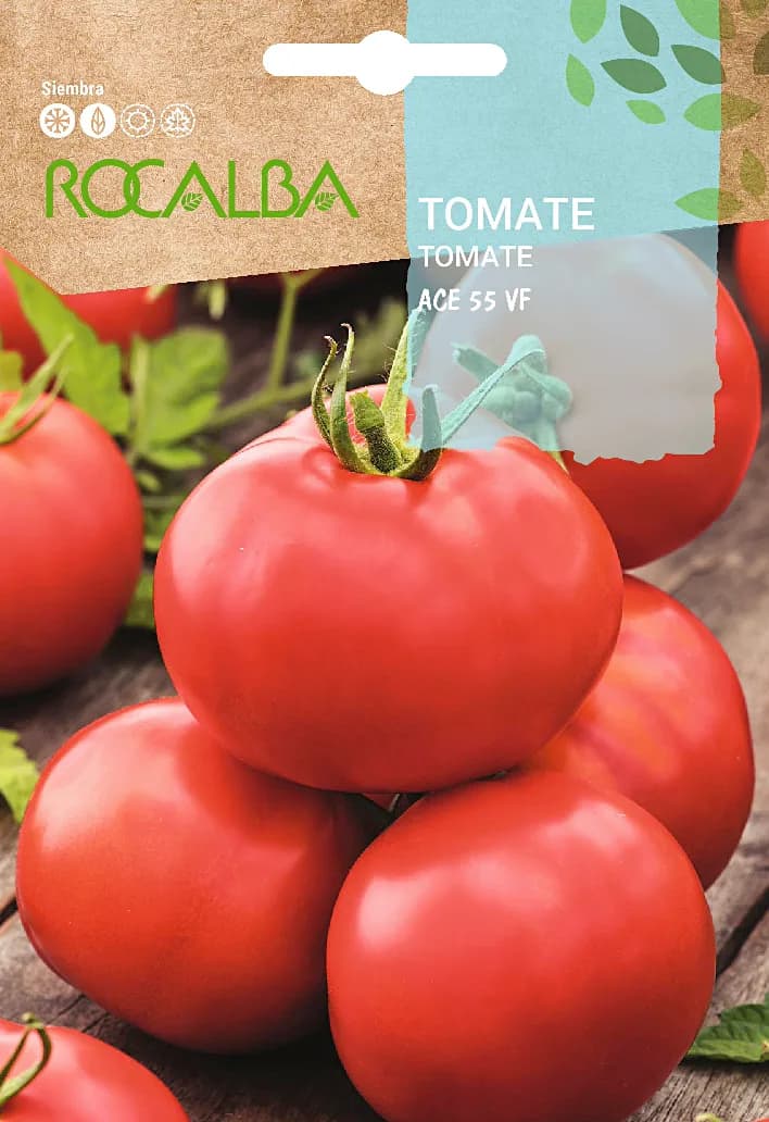 Semilla Tomate Ace 55 Vf — foto principal