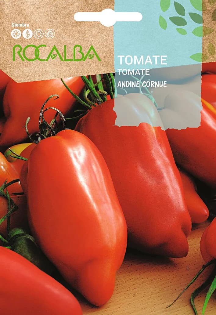 Semilla Tomate Andine Cornue — foto principal