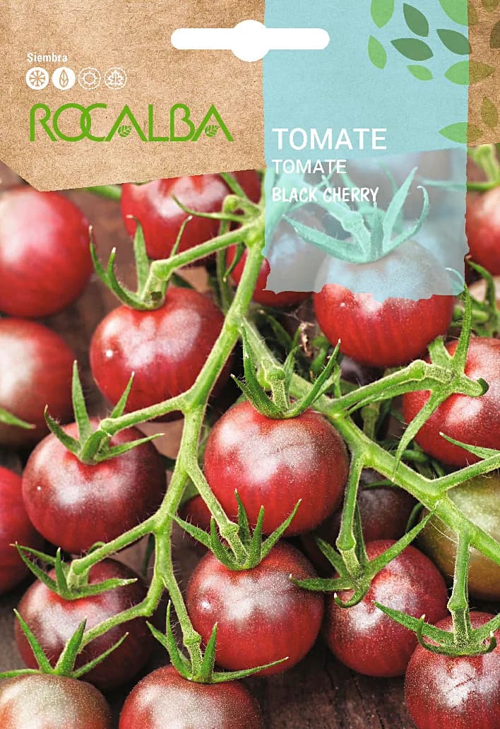 Semilla Tomate Black Cherry — foto principal