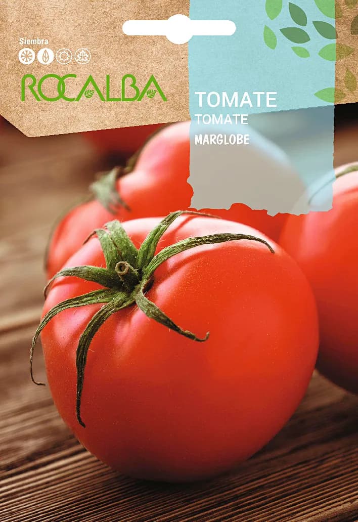 Semilla Tomate Marglobe — foto principal