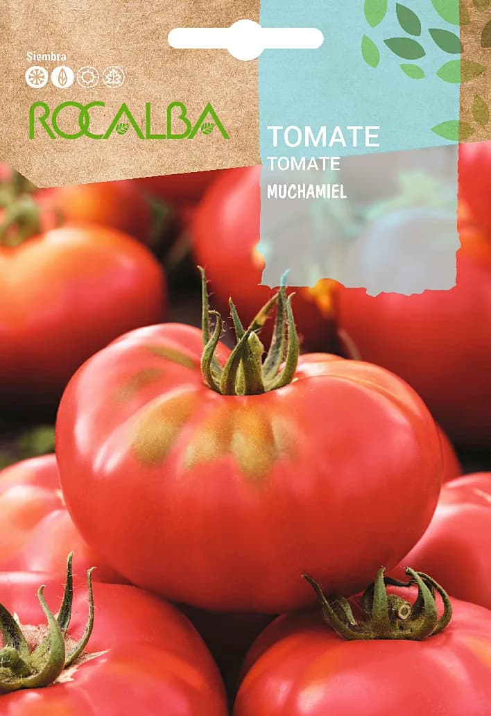 Semilla Tomate Muchamiel — foto principal