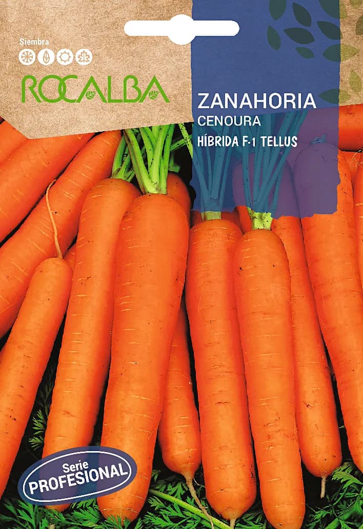 Semilla Profesional Zanahoria Hibrida F1 Tellus — foto principal