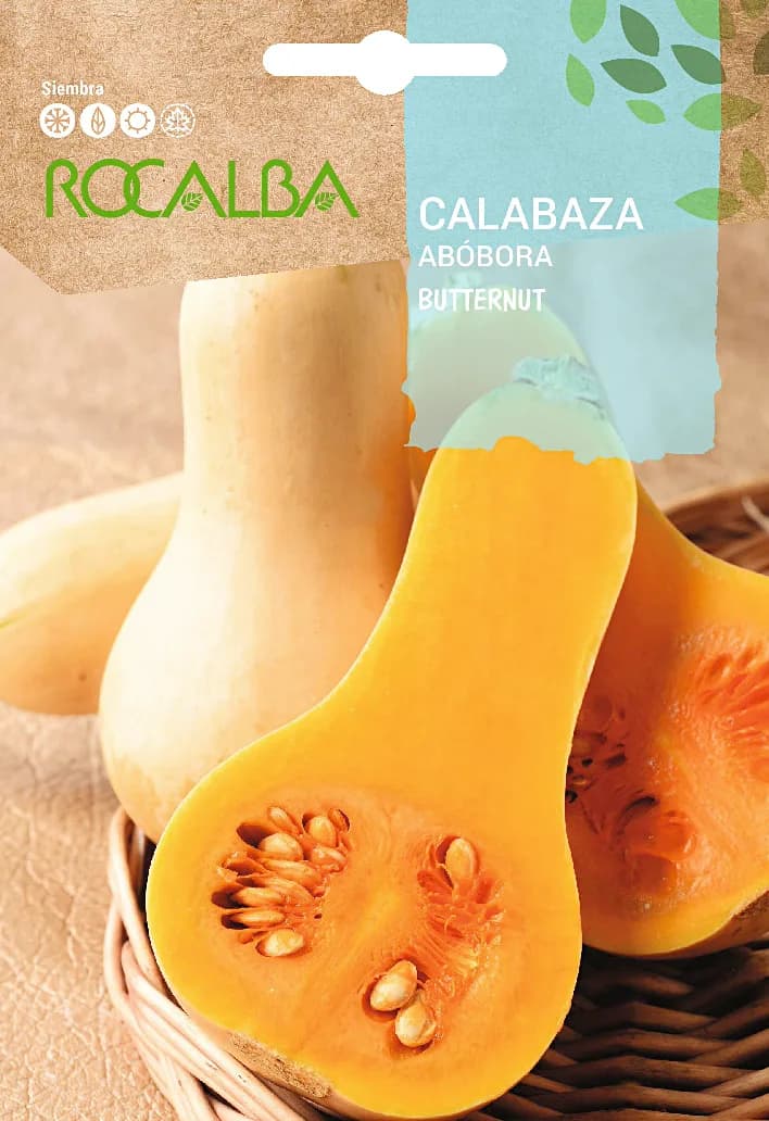 Semilla Calabaza Butternut Waltham — foto principal