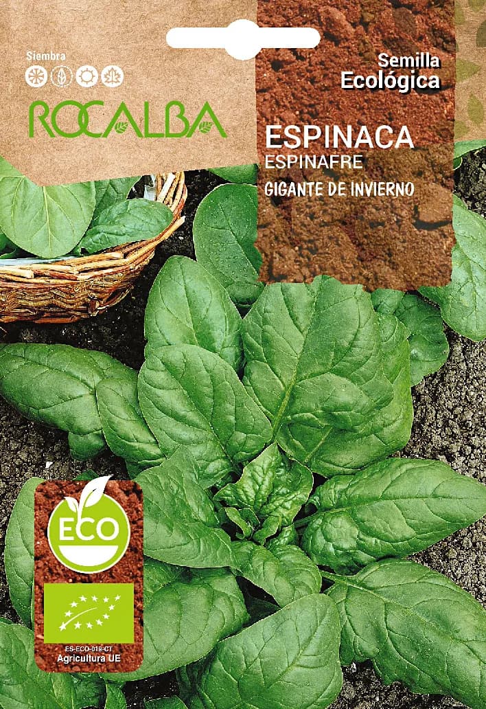 Semilla Ecologica Espinaca Gigante de Invierno — foto principal