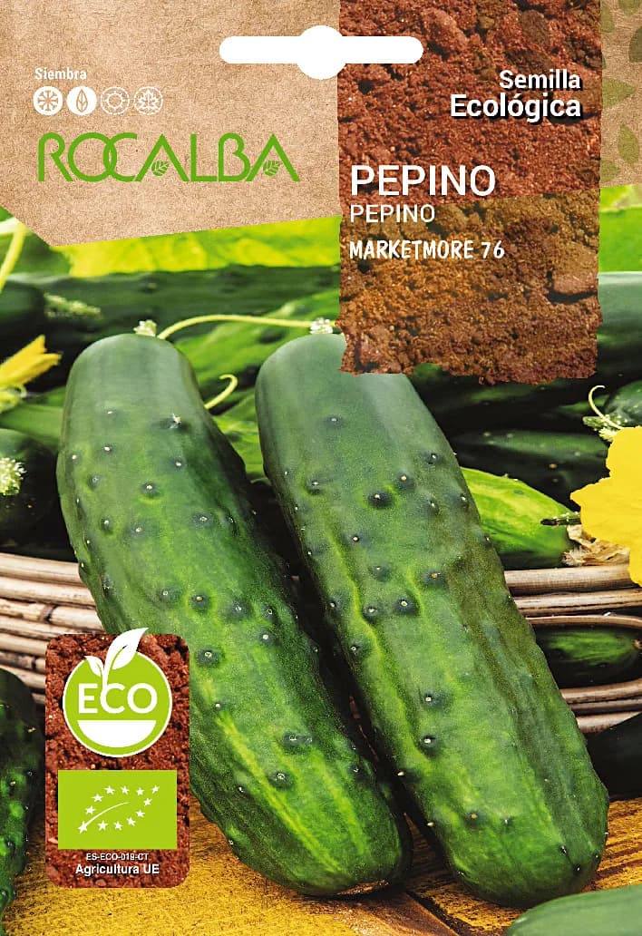 Semilla Ecologica Pepino Marketmore 76 — foto principal