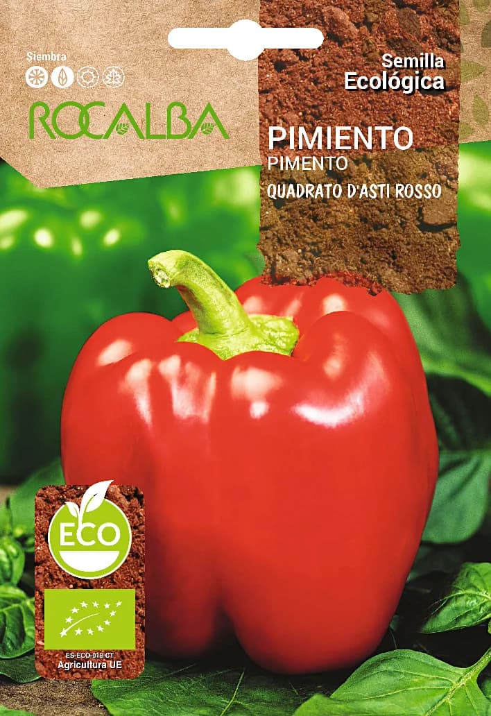 Semilla Ecologica Pimiento Quadrato Dasti Rosso — foto principal