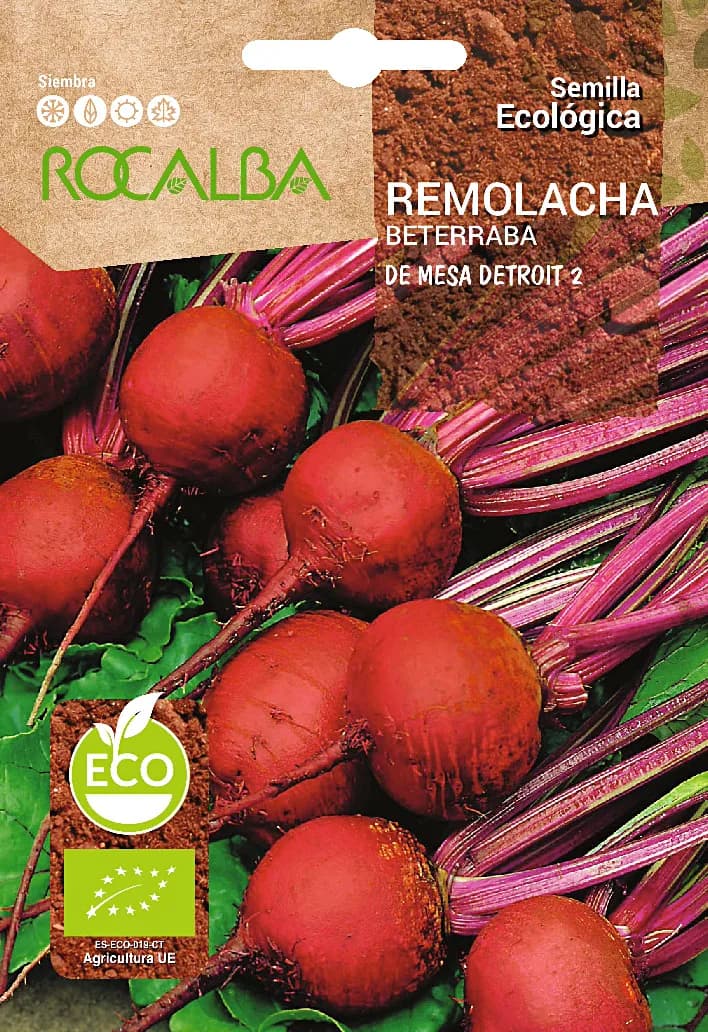 Semilla Ecologica Remolacha de Mesa Detroit 2 — foto principal