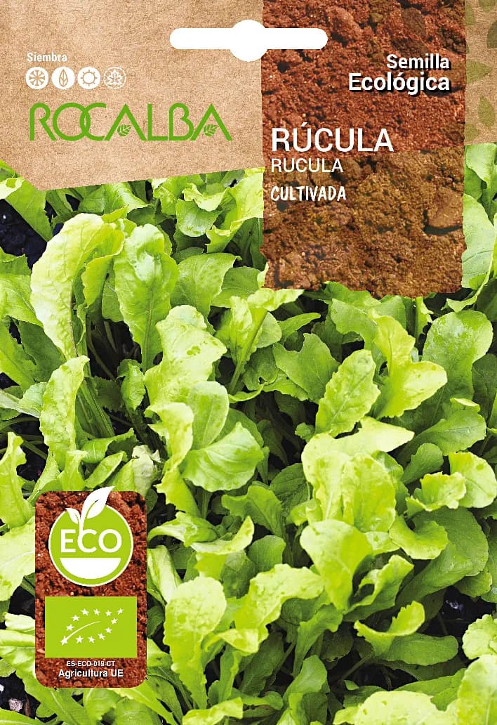 Semilla Ecologica Rucula Cultivada — foto principal