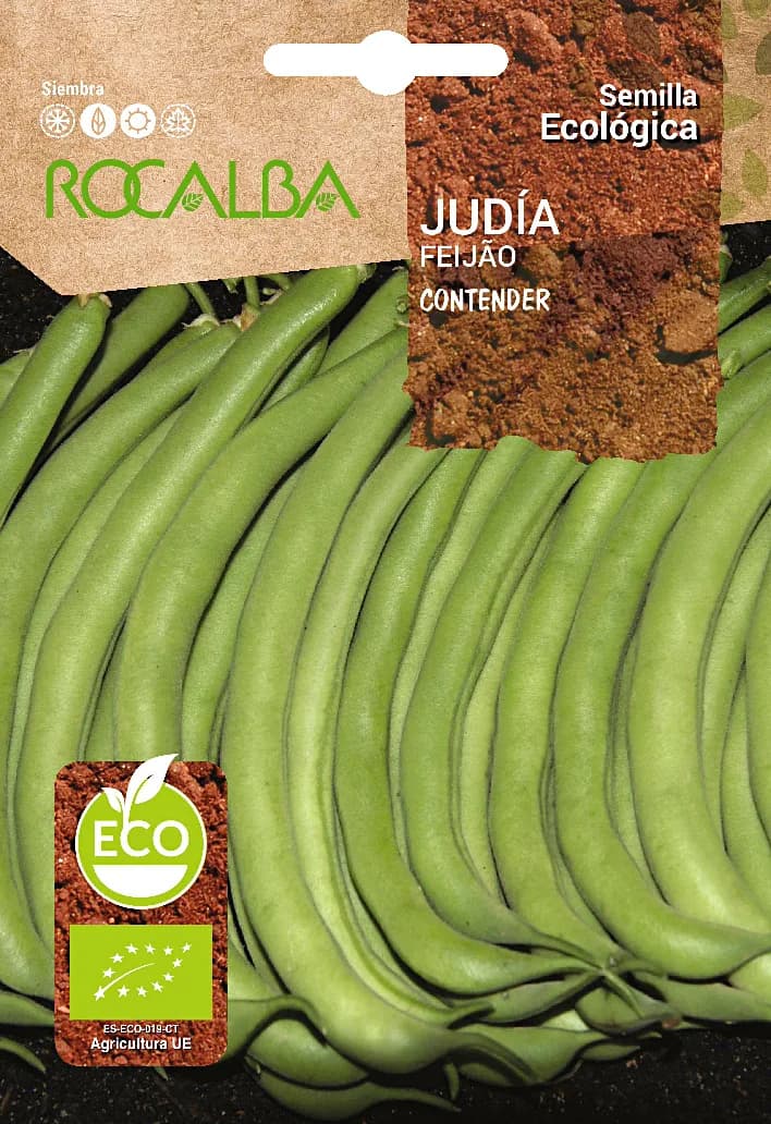 Semilla Ecologica Judia Contender — foto principal