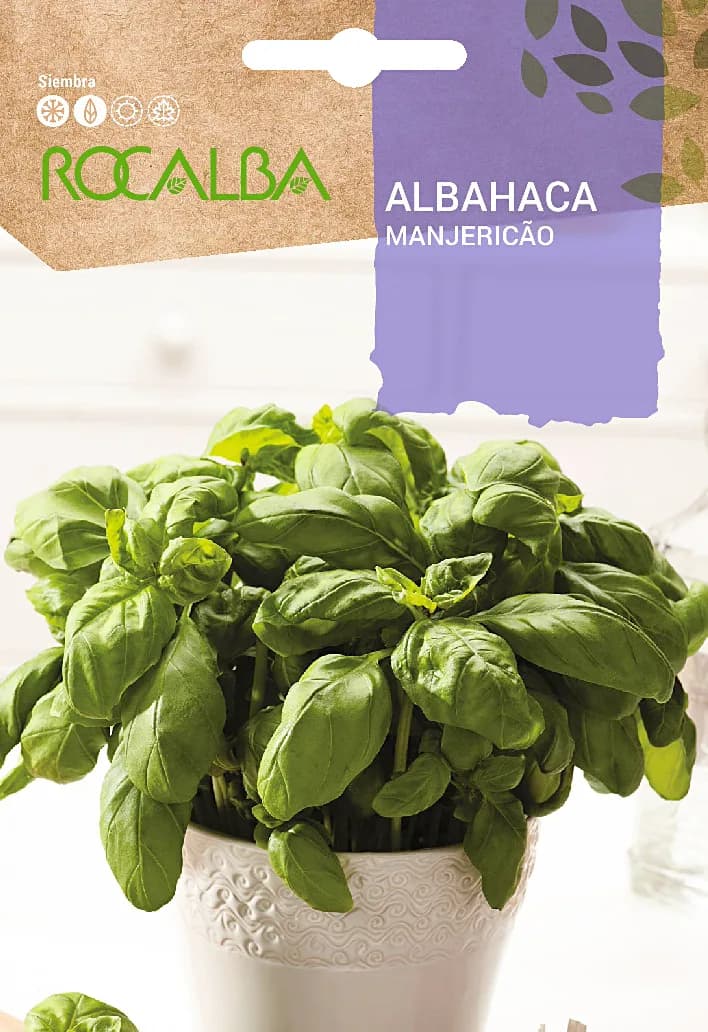Semilla Albahaca (Basilic Grand Vert) — foto principal