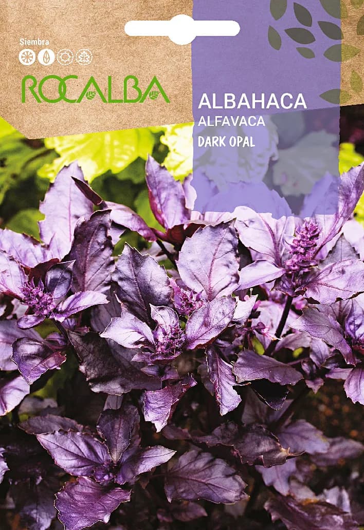 Semilla Albahaca Dark Opal — foto principal
