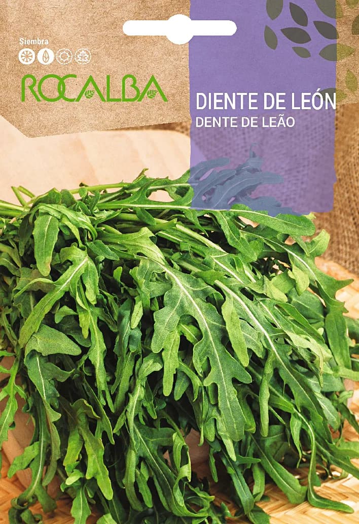 Semilla Diente de Leon — foto principal