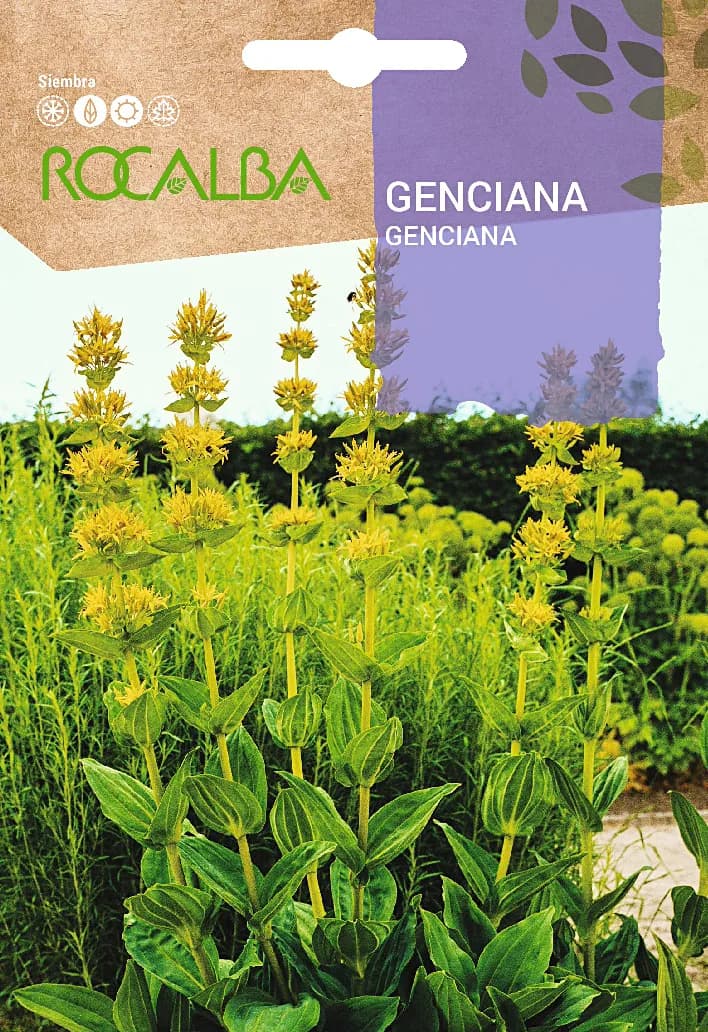 Semilla Genciana — foto principal