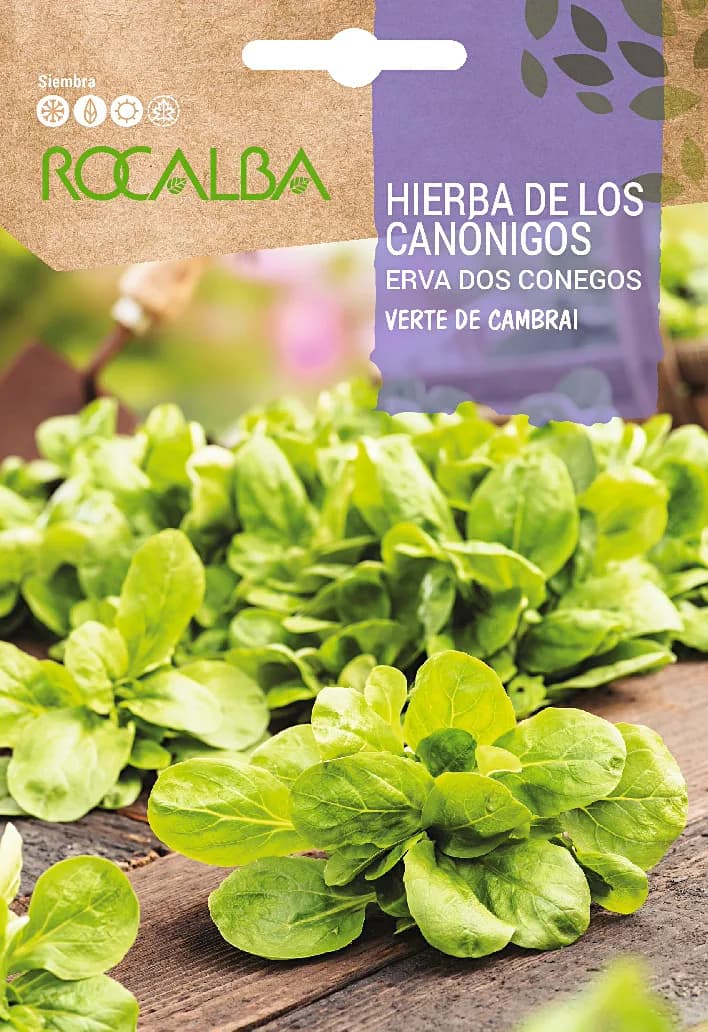 Semilla Hierba de los Canonigos — foto principal