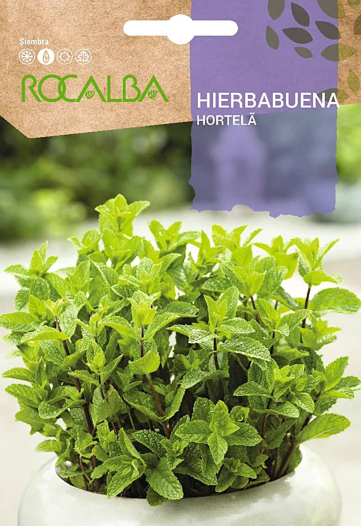 Semilla Hierbabuena — foto principal