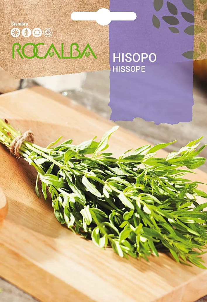 Semilla Hisopo — foto principal