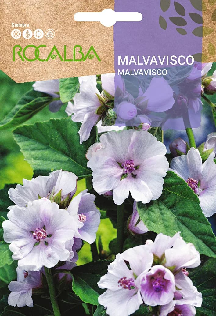 Semilla Malvavisco — foto principal