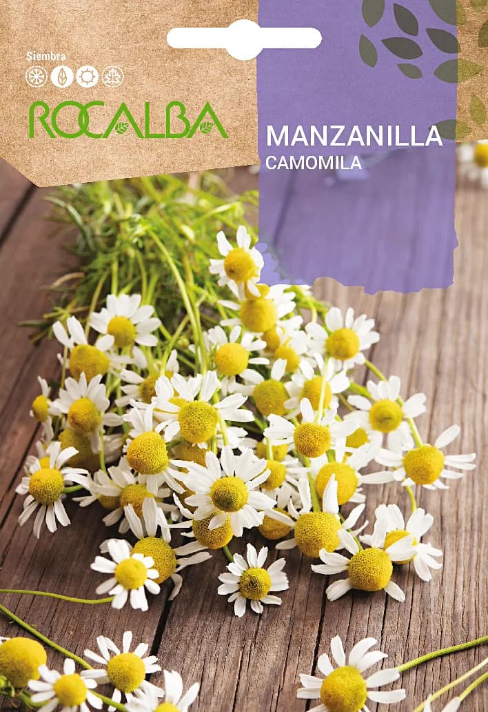 Semilla Manzanilla — foto principal