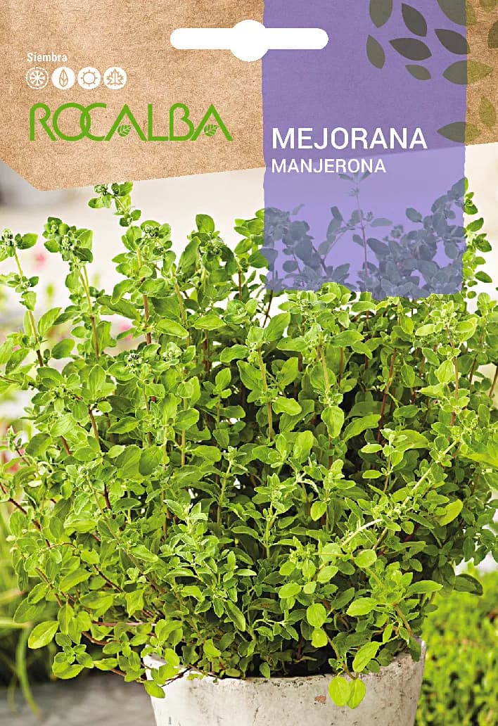 Semilla Mejorana — foto principal
