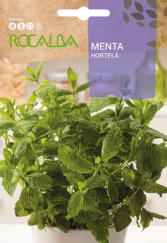 Semilla Menta — foto principal