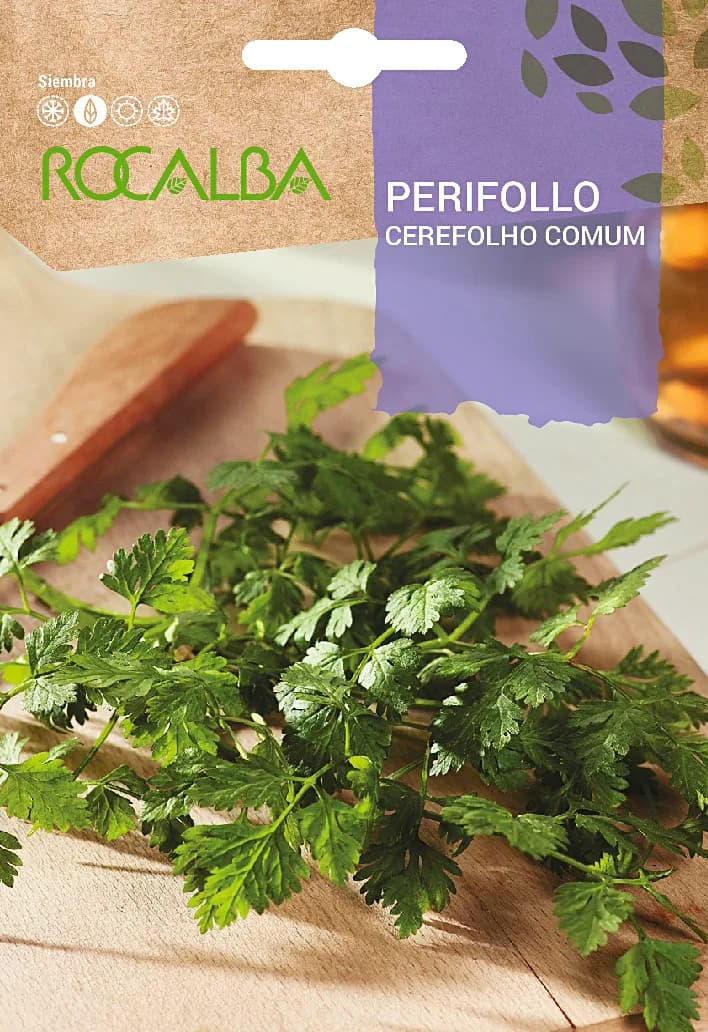 Semilla Perifollo — foto principal