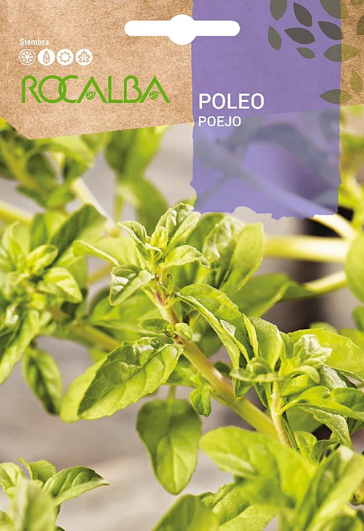 Semilla Poleo — foto principal