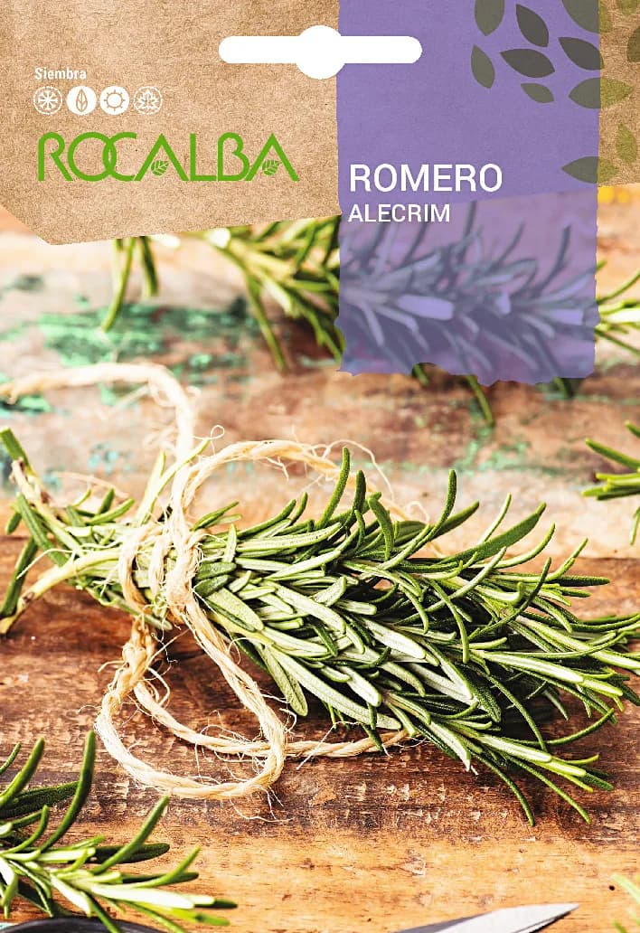 Semilla Romero — foto principal